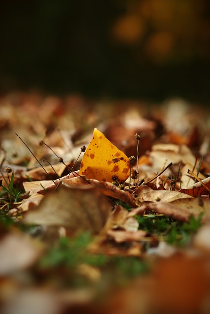 年轻球员一 年轻球员一