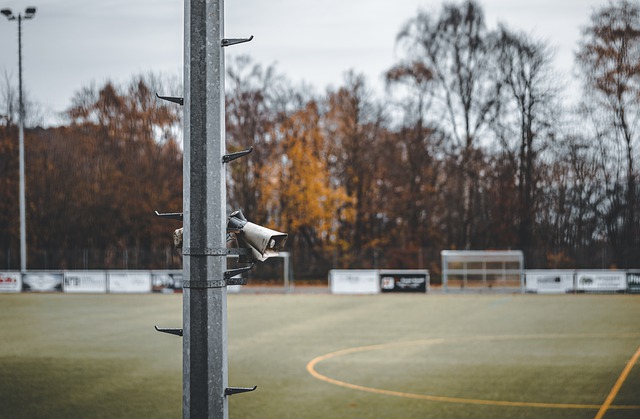 这可能是波 这可能是波