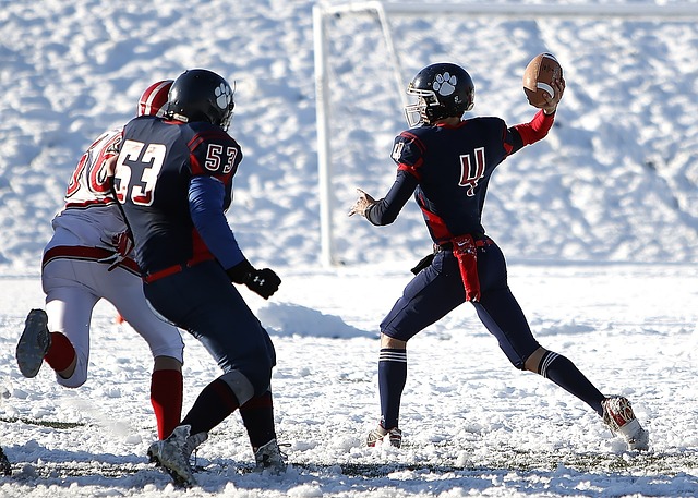 职业生涯的 职业生涯的