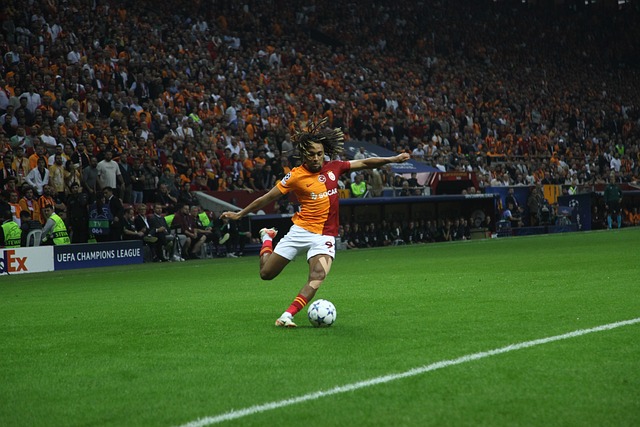 提供了一个 提供了一个