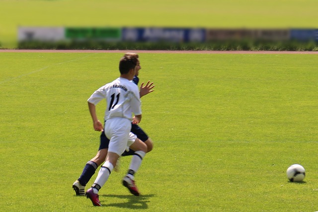 他们看到了 他们看到了