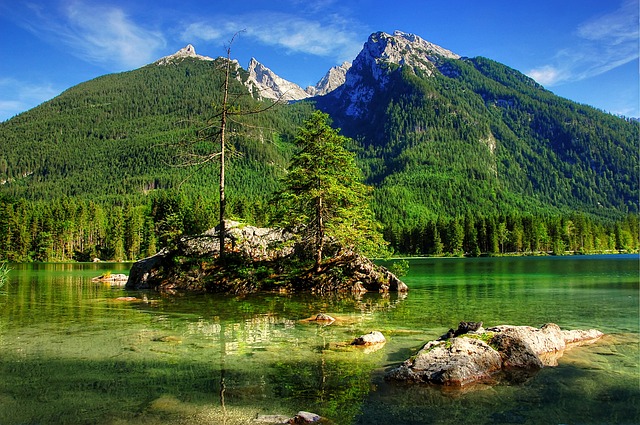 上课 上课