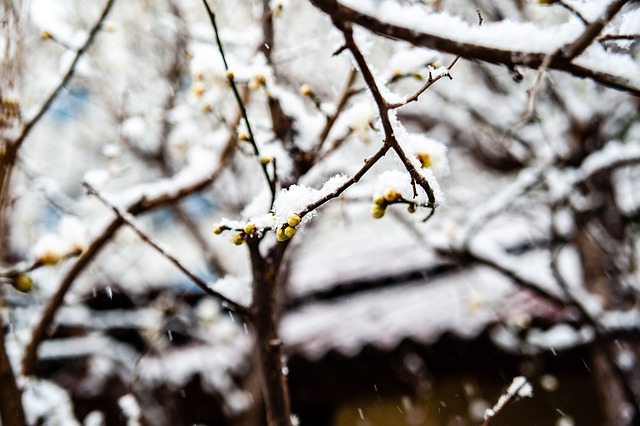 他射出的皮 他射出的皮
